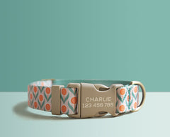 Green Floral Lightweight Dog Collar, Premium Dog Collar or Dog Collar and Leash Set with Matching Bowtie *Detachable