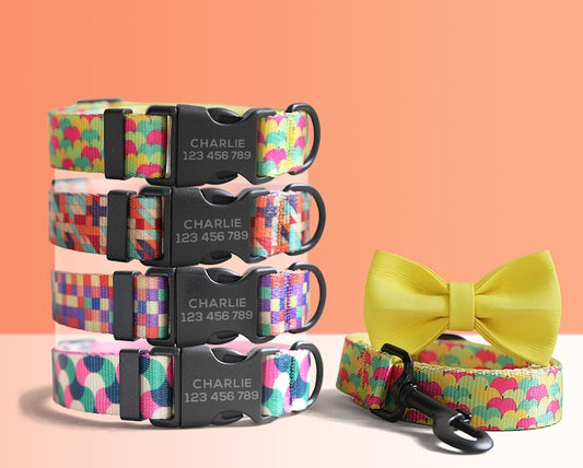 Multi-Colored Lightweight Dog Collar, Personalised Premium Dog Collar or Dog Collar and Leash Set with Matching Bowtie *Detachable