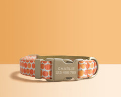 Orange Lightweight Dog Collar, Abstract Pattern Personalized Premium Dog Collar or Dog Collar and Leash Set with Matching Bowtie *Detachable