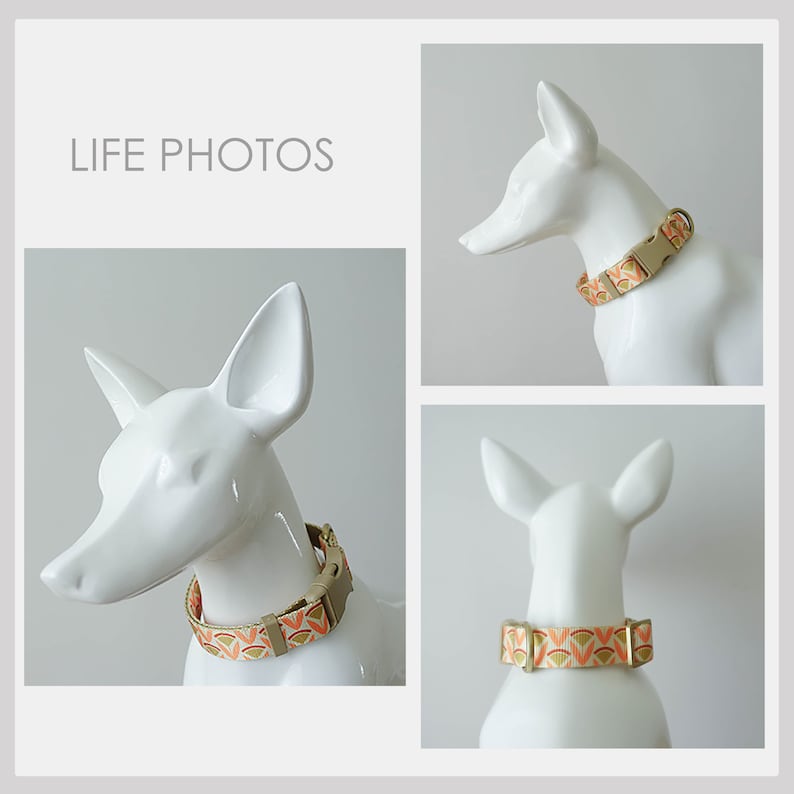 Orange Lightweight Dog Collar, Abstract Pattern Personalised Premium Dog Collar or Dog Collar and Leash Set with Matching Bowtie *Detachable