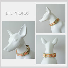 Orange Lightweight Dog Collar, Abstract Pattern Personalized Premium Dog Collar or Dog Collar and Leash Set with Matching Bowtie *Detachable
