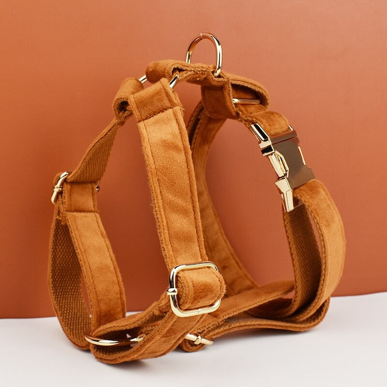 Custom Camel Brown Velvet Personalised Dog Collar, Matching Dog Bowtie, Dog Flower, Dog Leash, Dog Harness & Dog Poop Bag