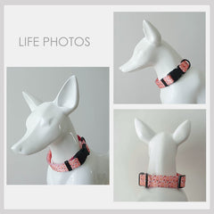 Pink Floral Lightweight Dog Collar, Personalized Premium Dog Collar or Dog Collar and Leash Set with Matching Bowtie *Detachable