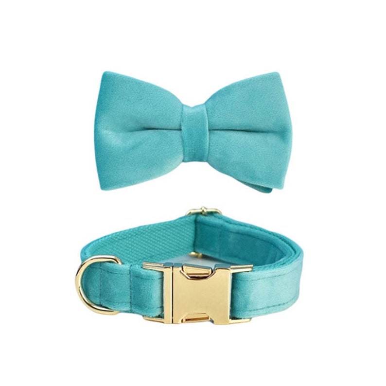 Custom Turquoise Velvet Personalised Dog Collar, Matching Dog Bowtie, Dog Flower, Dog Leash, Dog Harness & Dog Poop Bag