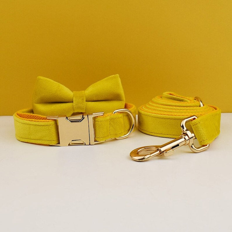 Custom Yellow Velvet Personalised Dog Collar, Matching Dog Bowtie, Dog Flower, Dog Leash, Dog Harness & Dog Poop Bag