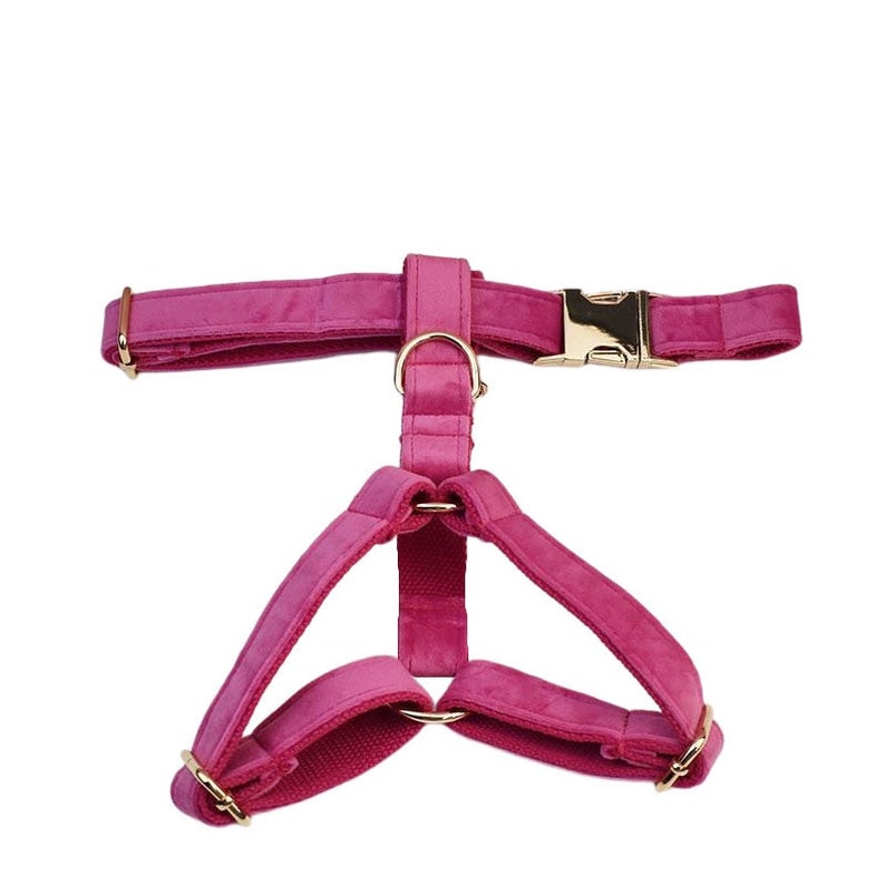 Custom Hot Pink Velvet Personalised Dog Collar, Matching Dog Bowtie, Dog Flower, Dog Leash, Dog Harness & Dog Poop Bag