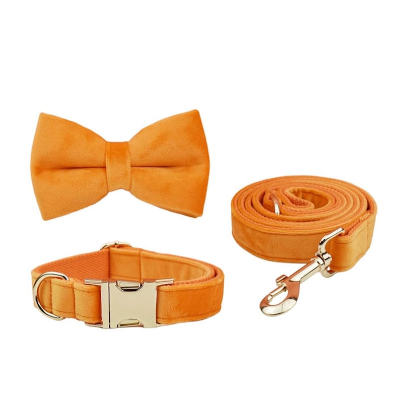 Custom Orange Velvet Personalised Dog Collar, Matching Dog Bowtie, Dog Flower, Dog Leash, Dog Harness & Dog Poop Bag