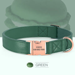 Personalized Engraved Plain Dog Collar Leather Padded with Dog Name Engraved, Dog Collar With Matching Bow Tie
