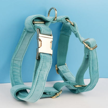 Custom Turquoise Velvet Personalised Dog Collar, Matching Dog Bowtie, Dog Flower, Dog Leash, Dog Harness & Dog Poop Bag
