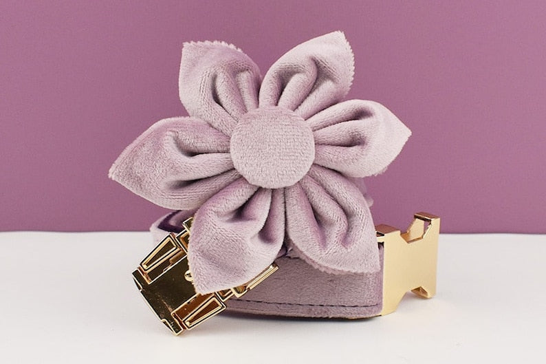 Custom Deep Purple Velvet Personalised Dog Collar, Matching Dog Bowtie, Dog Flower, Dog Leash, Dog Harness & Dog Poop Bag