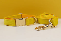 Custom Yellow Velvet Personalized Dog Collar, Matching Dog Bowtie, Dog Flower, Dog Leash, Dog Harness & Dog Poop Bag, Different Combo
