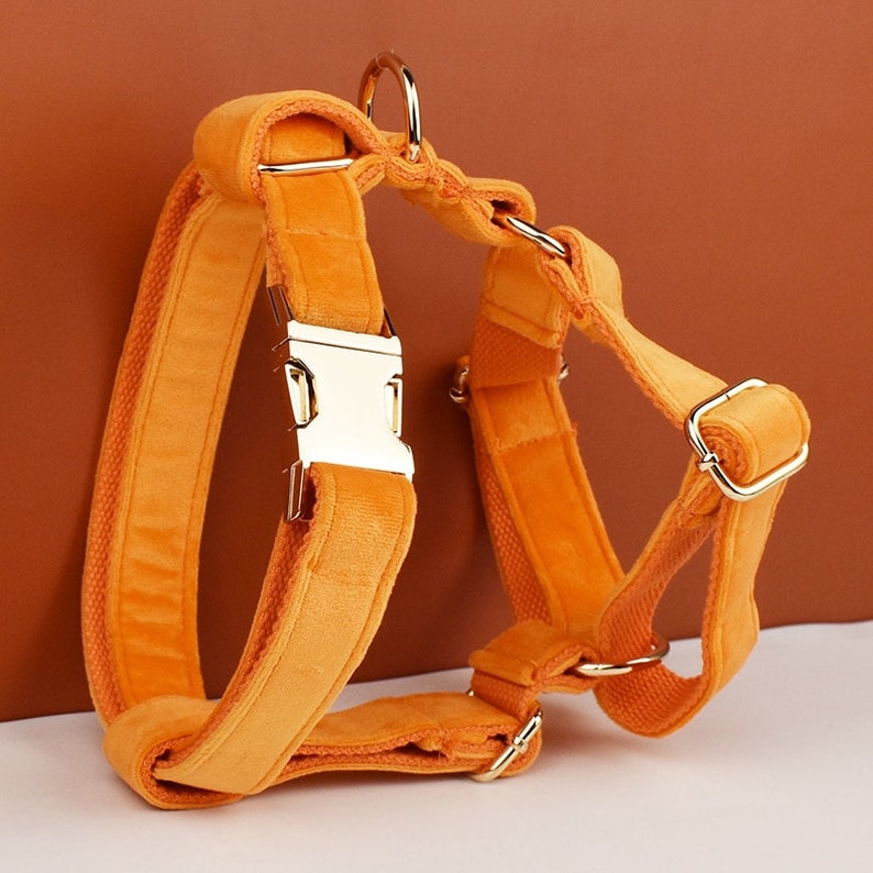 Custom Orange Velvet Personalised Dog Collar, Matching Dog Bowtie, Dog Flower, Dog Leash, Dog Harness & Dog Poop Bag