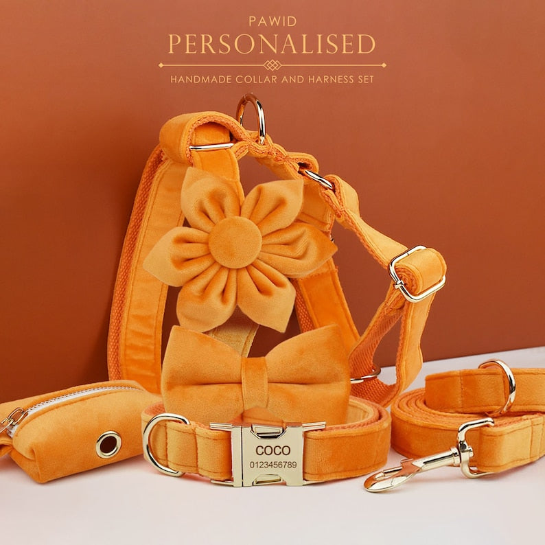 Custom Orange Velvet Personalised Dog Collar, Matching Dog Bowtie, Dog Flower, Dog Leash, Dog Harness & Dog Poop Bag