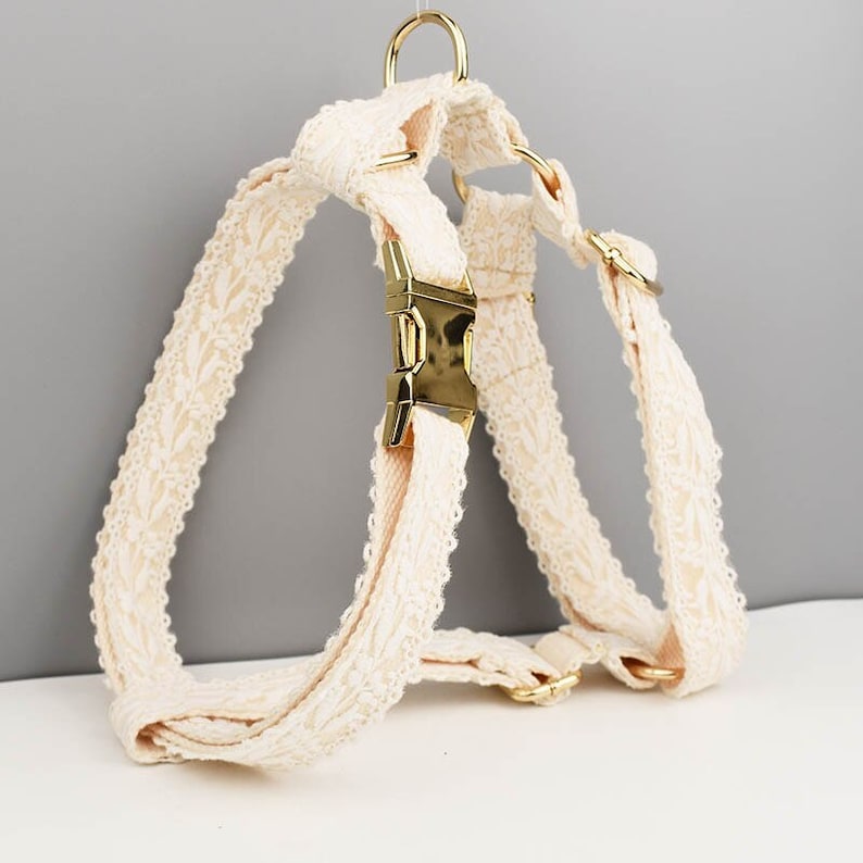Custom Beige Lace Personalised Dog Collar, Dog Flower, Dog Leash & Dog Harness