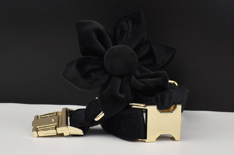 Black Gold Personalised Dog Collar, Matching Dog Harness and Leash Set, Removable Bowtie and Poop Bag Holder