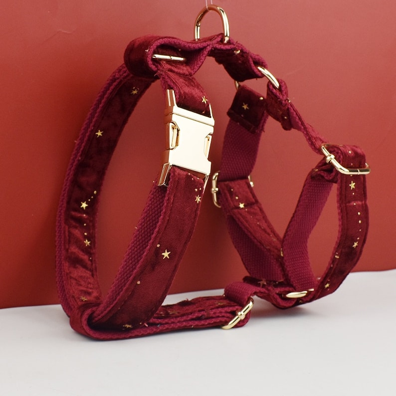 Stars Dog Harness, Custom Red Golden Stars Personalised Velvet Collar, Bowtie, Leash, H Harness, for Christmas and New Year