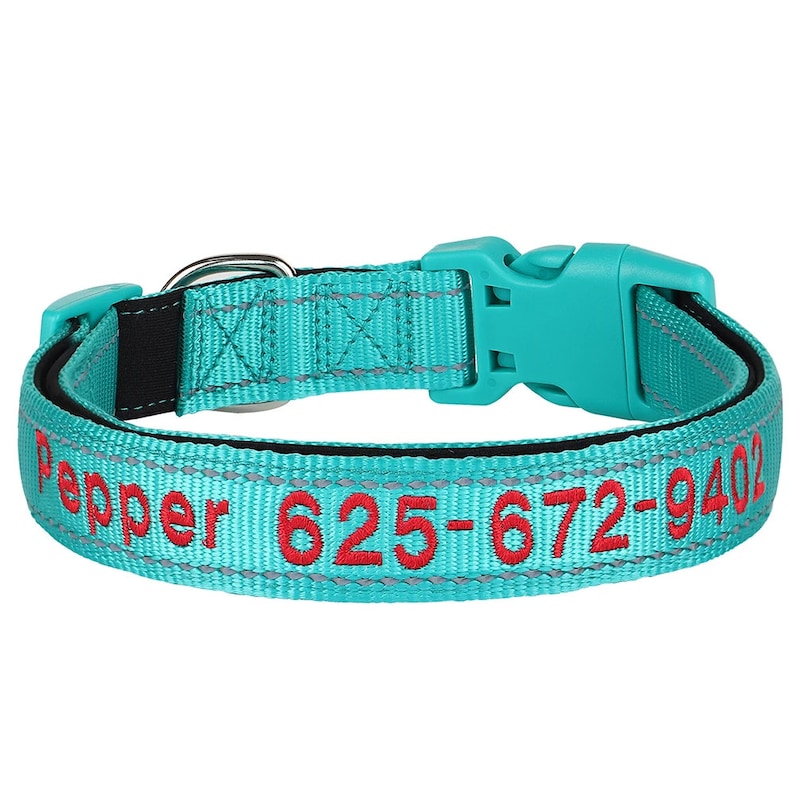 Personalised Reflective Dog Collar - Heavy Duty Nylon