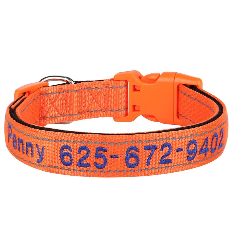 Personalised Reflective Dog Collar - Heavy Duty Nylon