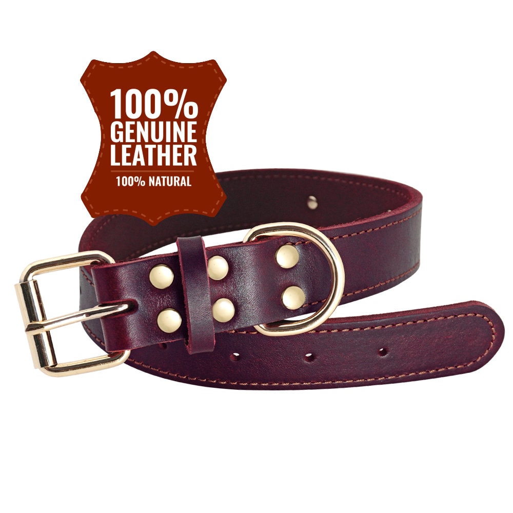 CLEARANCE, NEXT DAY ship | Personalised Laser Engraved Genuine Leather Dog Collar (Red Brown/Dark Brown)