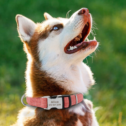 Personalised Laser Engraved Bamboo Fibre Dog Collar Lightweight Buckle Pink Green Grey Personalised Pet Gift Small Dog to Large Dog