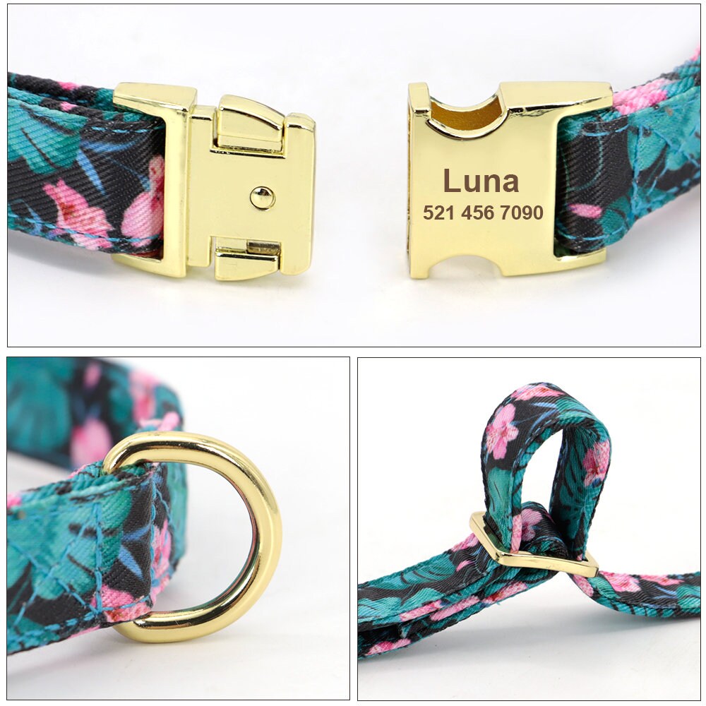 Engraved Floral Dog Collar Or Leash Set with Matching Flower in Beige, Pink, Green, Blue and Floral Pattern, Girl Dog Collar
