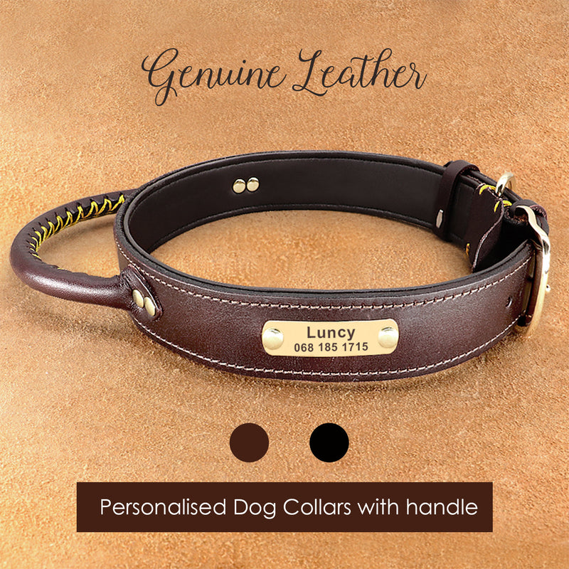 Personalized Leather Dog Collar with Handle, Custom Laser Engraved Genuine Leather Collar with Name for Medium to Large dogs
