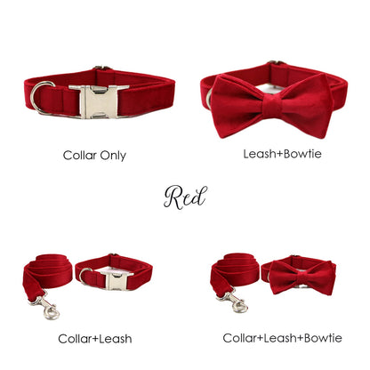 Personalised Velvet Dog Collar or Dog Collar and Leash