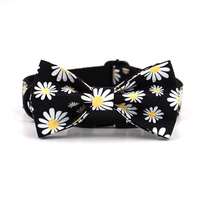 Personalised Black Daisy Dog Collar or Dog Collar and Lead Set