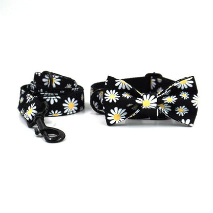 Personalised Black Daisy Dog Collar or Dog Collar and Lead Set