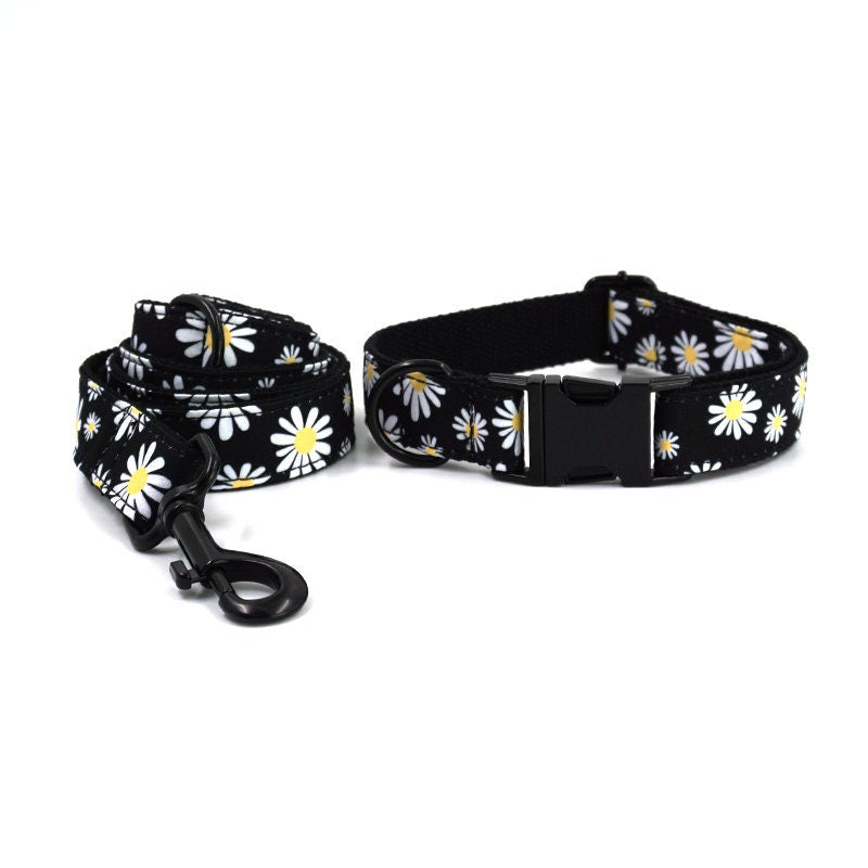 Personalised Black Daisy Dog Collar or Dog Collar and Lead Set