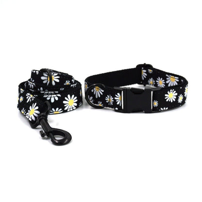 Personalised Black Daisy Dog Collar or Dog Collar and Lead Set