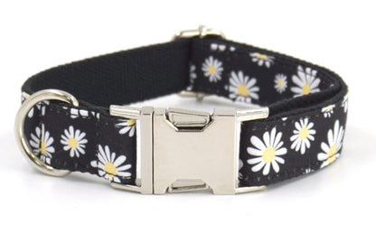 Personalised Black Daisy Dog Collar or Dog Collar and Lead Set
