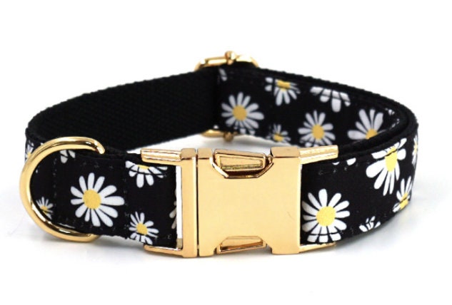 Personalised Black Daisy Dog Collar or Dog Collar and Lead Set