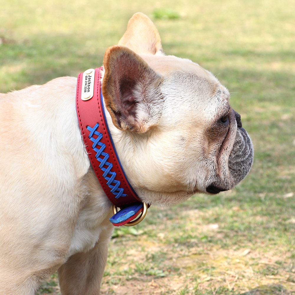 Personalised Genuine Leather Dog Collar, Custom Red Pink Blue Brown Black Soft Braided Real Leather Dog Collar