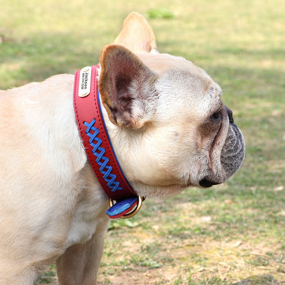 Personalised Genuine Leather Dog Collar, Custom Red Pink Blue Brown Black Soft Braided Real Leather Dog Collar