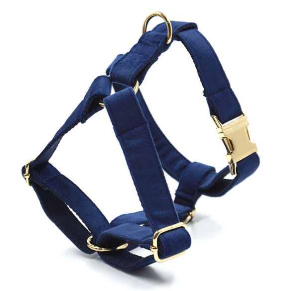 Custom Navy Blue Gold Personalised Dog Collar, Matching Dog Bowtie, Dog Leash, Dog Harness and Dog Poop Bag