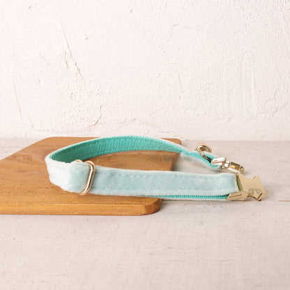 Velvet Cat Collar, Custom Puppy Collar with Name Engraved, Detachable Bowtie and Bell in Avocado Green, Red, Gray, Teal and Dust Blue