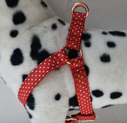 Personalised Black Polka Dog Collar or Dog Collar and Lead Set