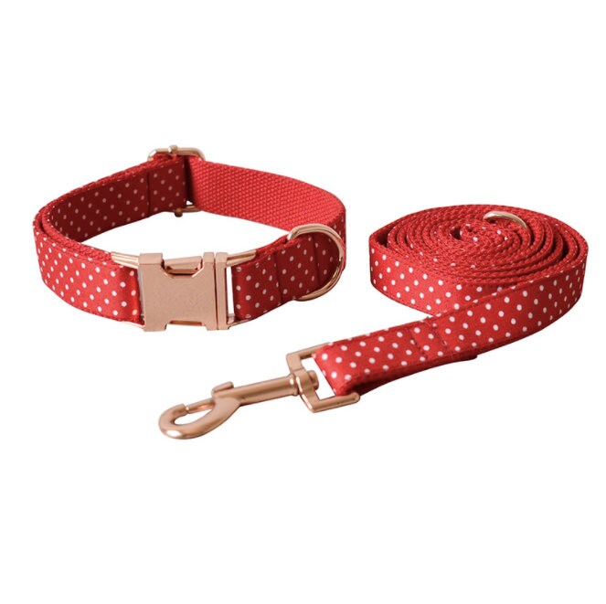Personalised Red Polka Dot Dog Collar or Dog Collar and Lead Set