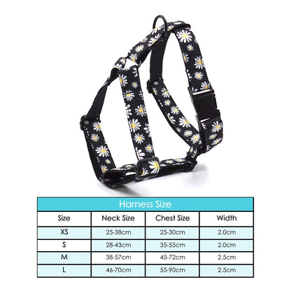 Personalised Black Daisy Dog Collar or Dog Collar and Lead Set