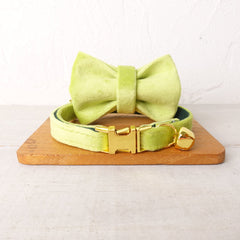 Velvet Cat Collar, Custom Puppy Collar with Name Engraved, Detachable Bowtie and Bell in Avocado Green, Red, Gray, Teal and Dust Blue