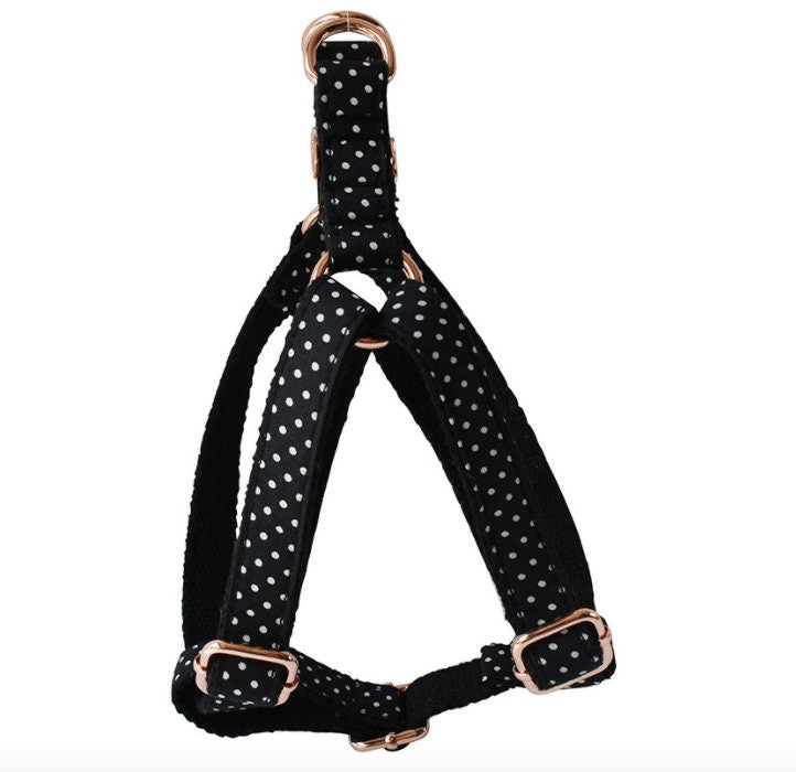 Personalised Black Polka Dog Collar or Dog Collar and Lead Set