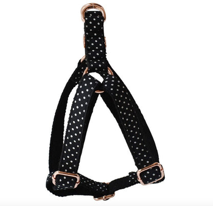 Personalised Black Polka Dog Collar or Dog Collar and Lead Set