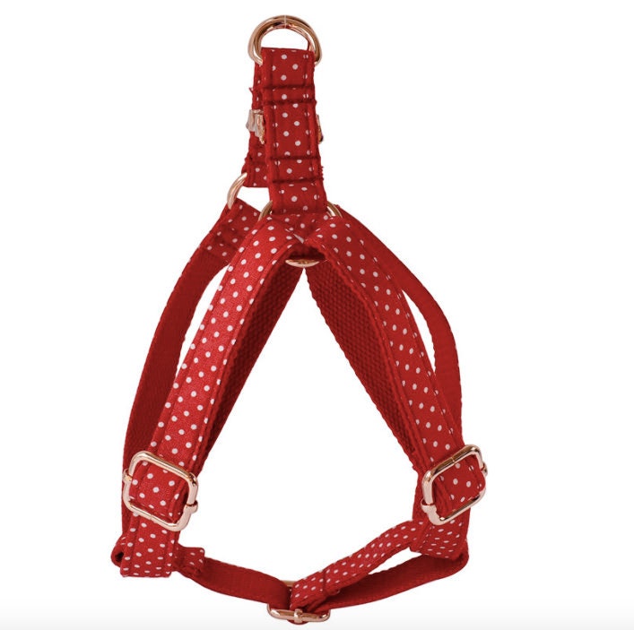 Personalised Red Polka Dot Dog Collar or Dog Collar and Lead Set