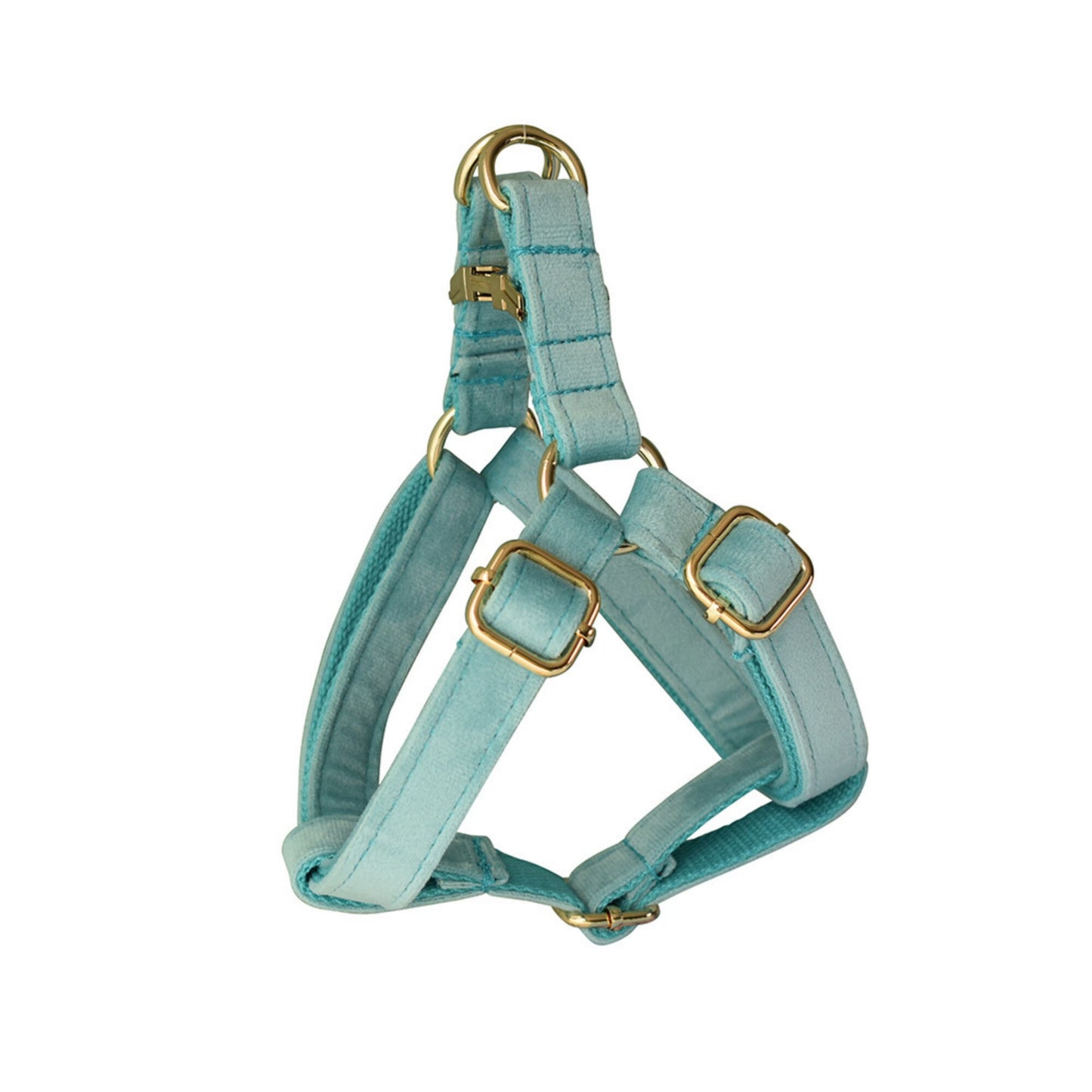 Personalised Aqua Thick Velvet Dog Collar or Dog Collar and Lead Set