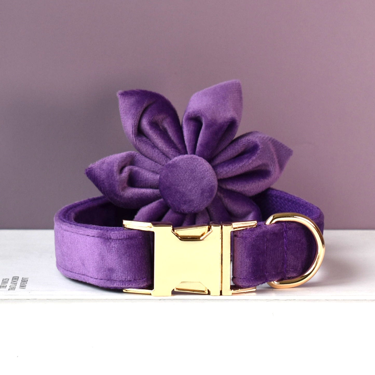 Purple thick velvet handmade girl or boy dog collar with engraved customizable buckle, Matching Bowtie, Flower, Leash