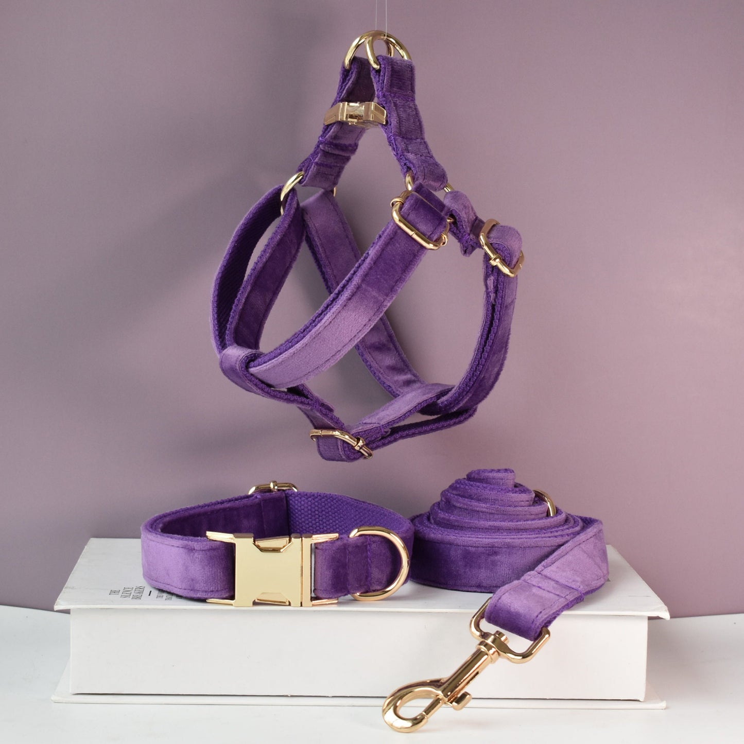 Purple thick velvet handmade girl or boy dog collar with engraved customizable buckle, Matching Bowtie, Flower, Leash