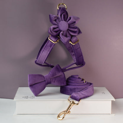 Purple thick velvet handmade girl or boy dog collar with engraved customizable buckle, Matching Bowtie, Flower, Leash