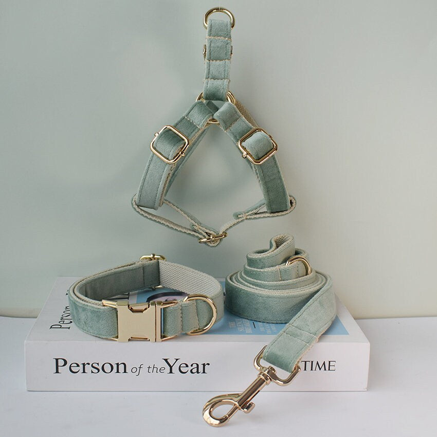 Personalised Sage GREEN Thick Velvet Girl or Boy Dog Collar, Harness, and Leash Set with Detachable Matching Bowtie Flower