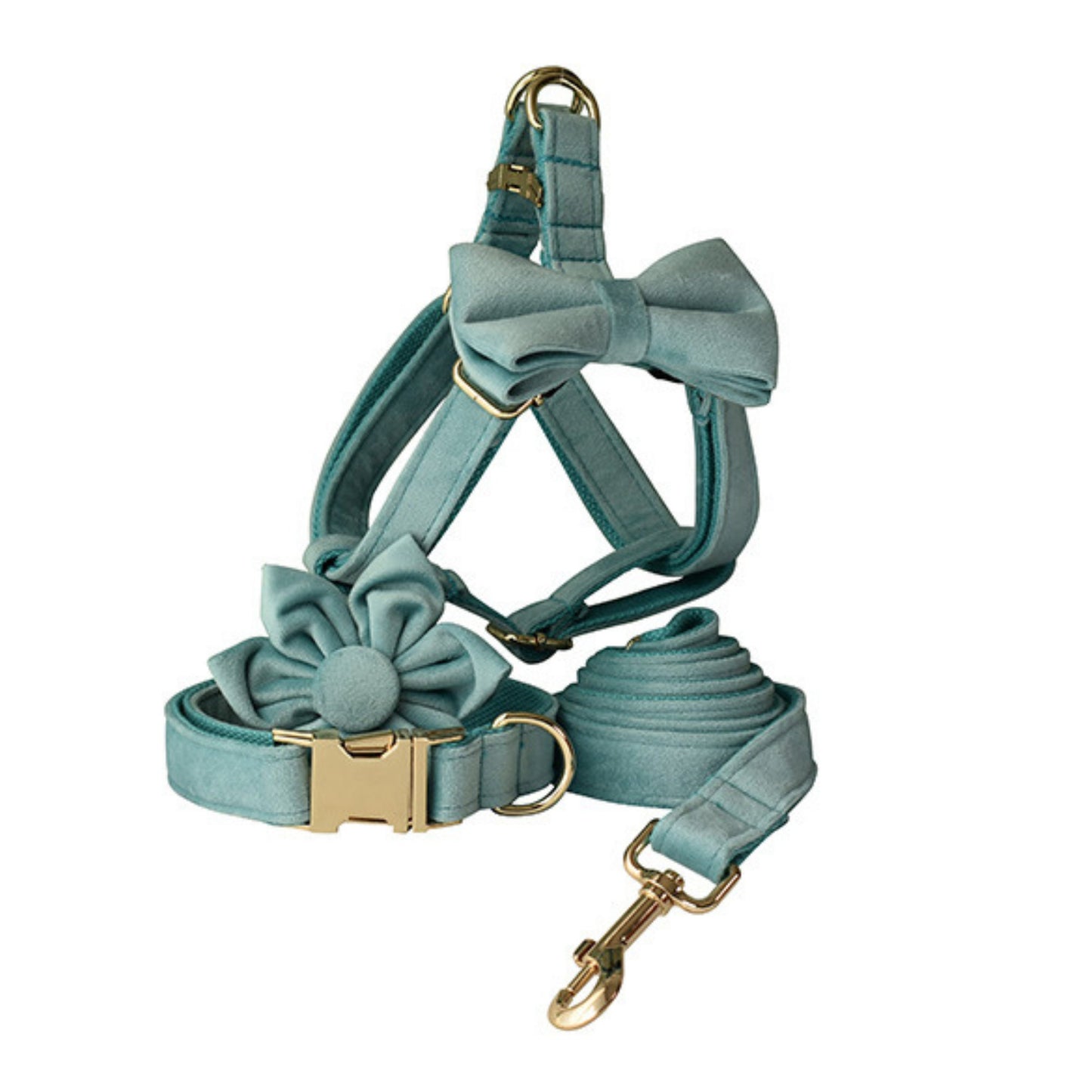 Personalised Aqua Thick Velvet Dog Collar or Dog Collar and Lead Set